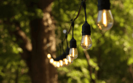 How to Hang Festoon Lights (Most Complete Guide)
