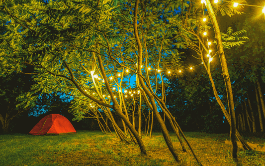 10 Most Popular Lights That Hang from Trees